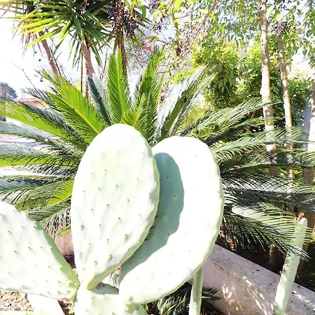 アパート Casa Malvasia Nera