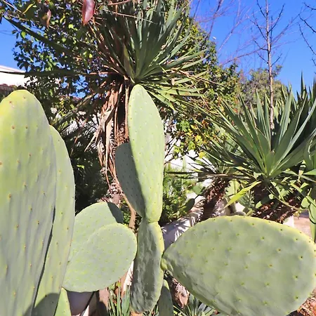 Casa Malvasia Nera Апартаменты Отранто