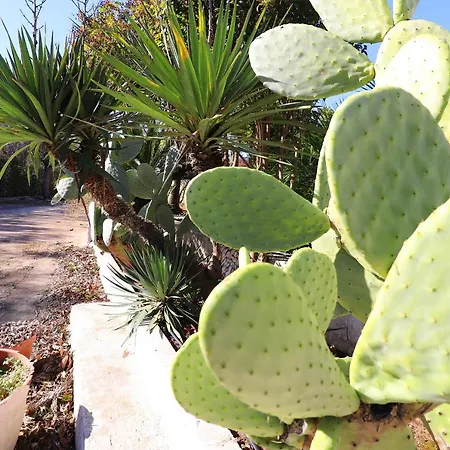 Casa Malvasia Nera Апартаменты Отранто