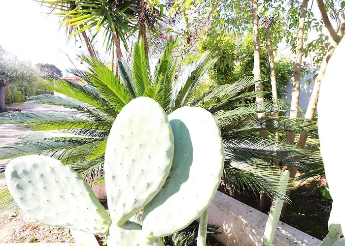 Apartment Casa Malvasia Nera